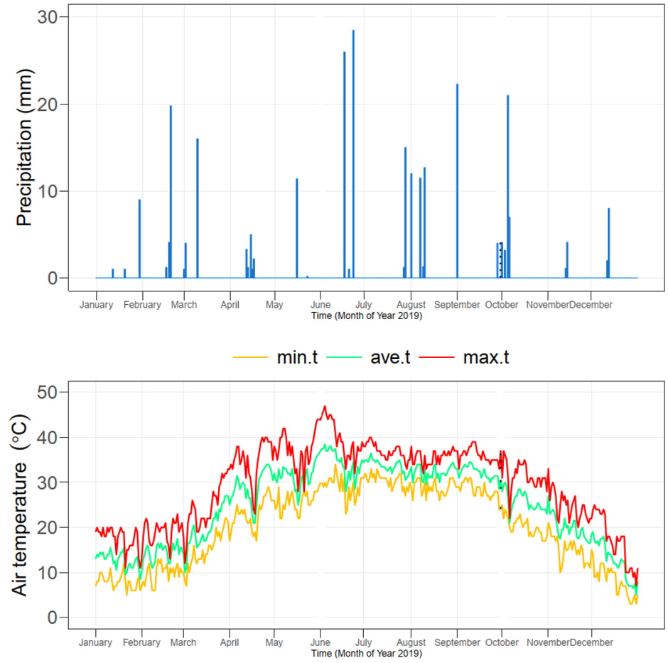 The daily minimum, maximum and average temperature and rainfall in Multan, Pakistan during the year 2019. The dotted lines are showing the duration of the cluster bean crop.