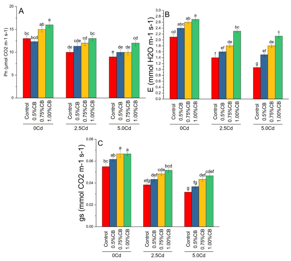 Variable rates of composted biochar impacts on maize photosynthetic rate; Pn (A), transpiration rate; E (B) and stomatal conductance; gs (C) under different levels of Cd. Means are average of 3 replicates compared with Tukey’s test. Columns with similar letters are not significantly different.