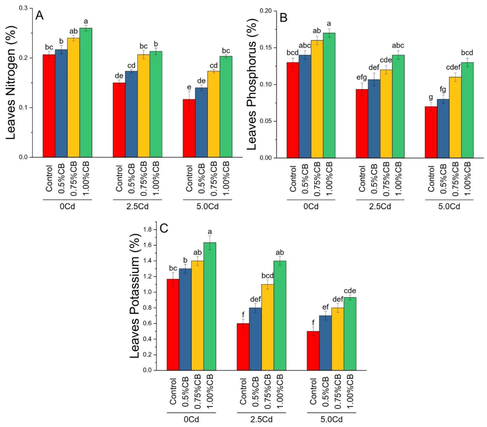 Variable rates of composted biochar impacts on maize leaves nitrogen (A), phosphorus (B) and potassium (C) under different levels of Cd. Means are average of 3 replicates compared with Tukey’s test. Columns with similar letters are not significantly different.