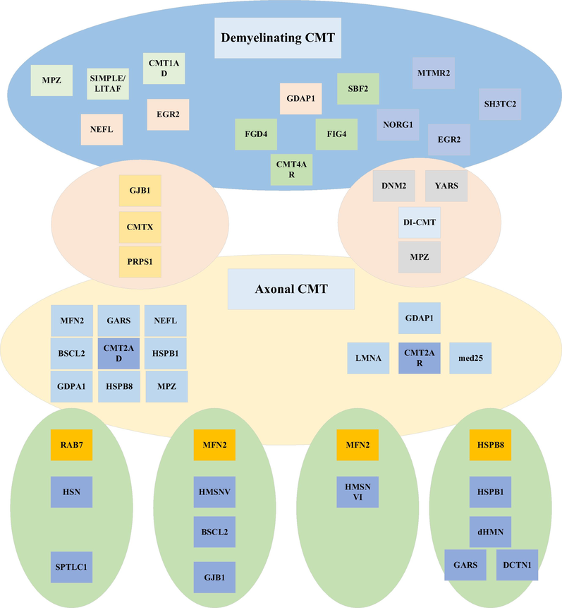 Distribution path problem classification.