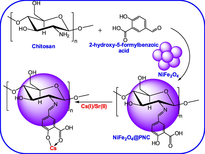 The synthesis routes for the synthesis of NiFe2O4@PNC.