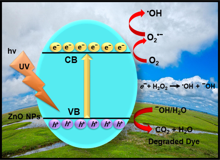 Possible photo-catalytic mechanism for charge transfer and photodecomposition of MB and AZ over ZnO NPs under UV light irradiation.