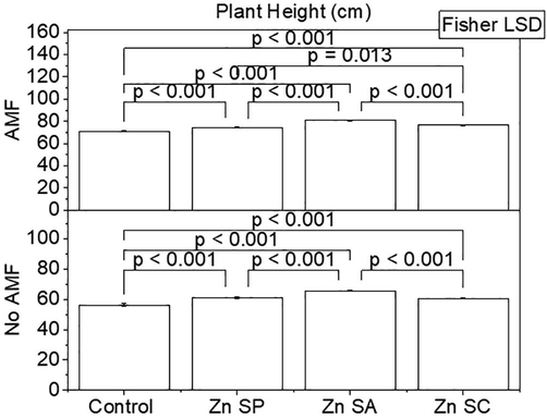 Effect of zinc seed priming, seed coating and soil application with and without AMF inoculation on rice plant height. Bars are showing means of three replicates ± SE. Different values on bars are showing p-values computed by Fisher LSD at p ≤ 0.05. Zn = zinc; SP = seed priming; SA = soil application; SC = seed coating.