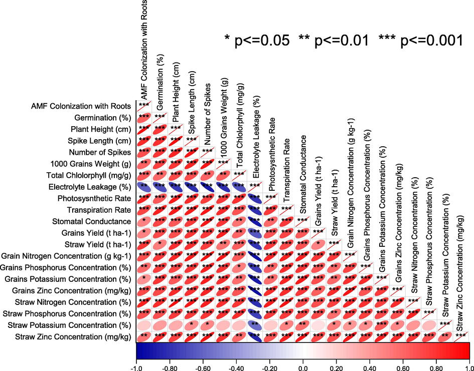 Pearson correlation of different rice attributes cultivated with and without AMF inoculation under zinc seed priming, seed coating and soil application. The red colour is indicating a positive and the blue colour is signifying a negative correlation. Ellipse having no star is an indication of a non-significant correlation.