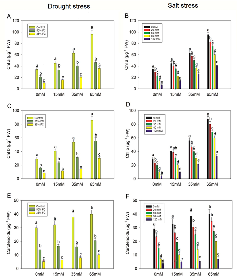 Effect of polysaccharide crude extract, PCE (0, 15, 35. and 65 Mm) on Chla, Chlb and carotenoids in the leaf of eggplant seedlings under drought and salt stress. The data displayed are the means (±SE) of three replicates, and bars of dissimilar letters differ significantly at the p = 0.05 level.