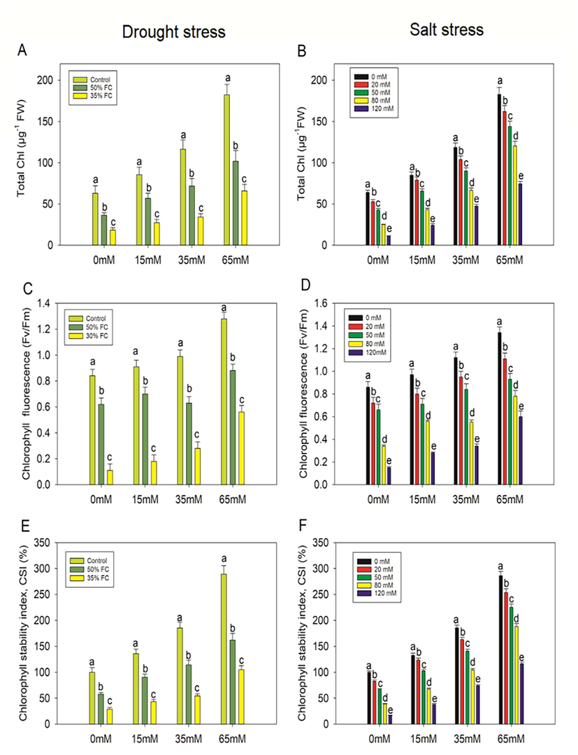 Effect of polysaccharide crude extract, PCE (0, 15, 35, and 65 Mm) on total chl, chlorophyll fluorescence (Fv/Fm), and chlorophyll stability index (CSI) in the leaf of eggplant seedlings under drought and salt stress. The data displayed are the means (±SE) of three replicates, and bars of dissimilar letters differ significantly at the p = 0.05 level.