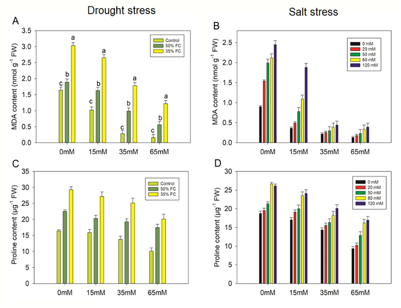 Effect of polysaccharide crude extract, PCE (0, 15, 35, and 65 Mm) on MDA and praline content in the leaf of eggplant seedlings under drought and salt stress. The data displayed are the means (±SE) of three replicates and bars of dissimilar letters differ significantly at thep = 0.05 level.