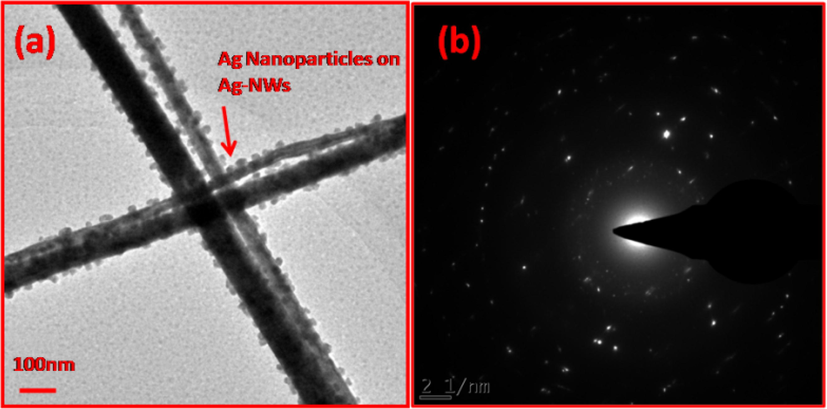 (a) TEM image of AgNWs irradiated by γ-radiations of dose 15 kGy (b) SAED pattern of AgNWs irradiated by γ-radiations of dose 15 kGy.