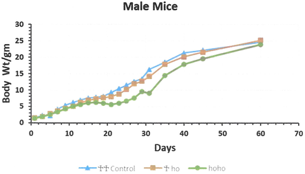 The mean body weight growth of the male new born of the 3 genotype groups hotfoot mutation and normal group (++, +ho, and hoho) in mice. *Young male were separated from their mothers at day 30 of age.