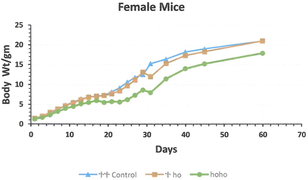 The mean body weight growth of the female new born from the 3 genotype groups hotfoot mutation and normal group (hoho, +ho, and ++) mice. *Young female were separated from their mothers at day 30 of age.