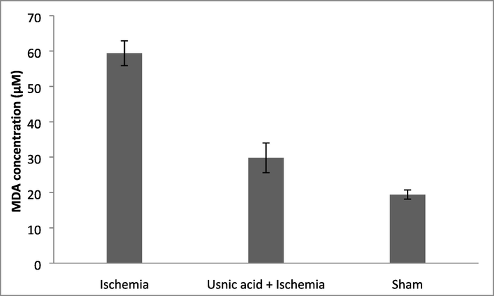 Influence of usnic acid on malondialdehyde concentration in the experimental albino rat after cerebral ischemia.