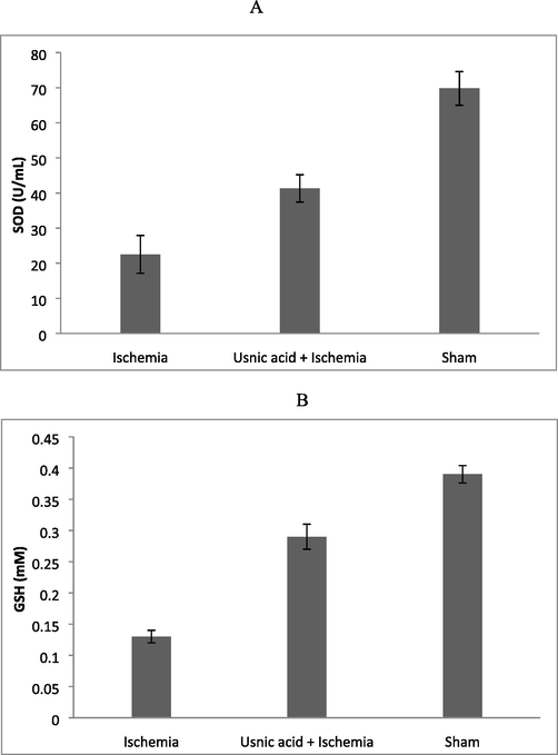 Influence of usnic acid on superoxide dismutase (SOD) (A) and glutathione (B) levels in experimental animals.