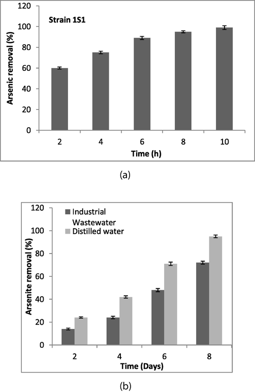 (a) The bacterial culture was grown, centrifuged to obtain pellet, and pellet was incubated at 70 °C (2–3 times) to inactivate the cells. Initially, 1 g/L bacterial biomass was mixed in 1 L of arsenic solution of 1500 ml flasks containing 15 mM As+3 stress. The flasks were incubated at 37 °C on the shaker for 2 to 10 h. Arsenic concentration was estimated before and after incubation through atomic absorption spectrophotometer (b) Arsenite removal potential of strain ISI from industrial wastewater was determined. For this, a set of two plastic containers was used; the first container contained wastewater (10 L) with 1.5 L culture, while the second container contained 10 L distilled water with 1.5 L culture. Each container was supplemented with 15 mM As+3 and incubated at room temperature (25 ± 2 °C). Ten milliliter samples were taken after 2, 4, 6, and 8 days of incubation, centrifuged for 10 min at 4000 rpm, and the samples supernatants were analyzed for arsenite estimation through atomic absorption spectrophotometer.