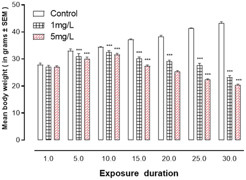 Arsenic exposure of effects art aniinal15. body weight ***represent statistically significant at P < 0.001 from the control group by ANOVA and student's t-test.