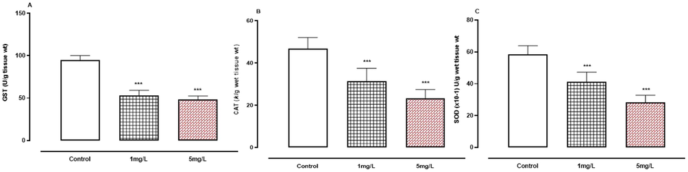 A-C. The effect of arsenic on enzymatic oxidative stress indicators. A, GST.B, CAT.C, SOD. *** P < 0.001 means compared to control group by ANOVA and student’s t-test.