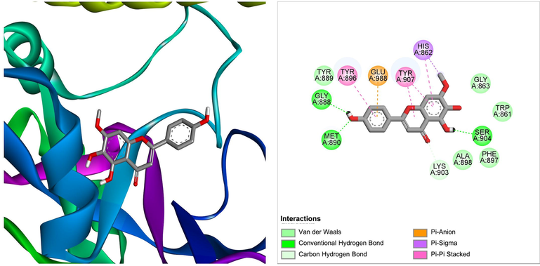 The molecular interaction of sorbifolin derived from Ficus lacor with PARP-1. The 3D and 2D images were generated by using BIOVIA Discovery Studio showing amino acid residues involved in various interactions between PARP-1 and sorbifolin.