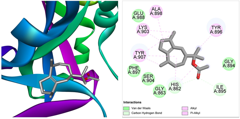 The molecular interaction of guaiol acetate derived from Ficus hispida with PARP-1. The 3D and 2D images were generated by using BIOVIA Discovery Studio showing amino acid residues involved in various interactions between PARP-1 and guaiol acetate.