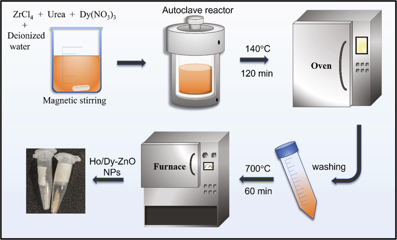 Schematics of Synthesis for Dy/Ho-Zirconia NPs.