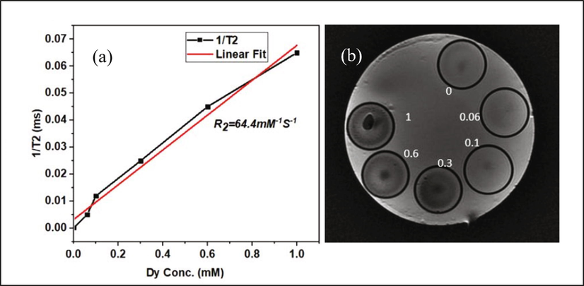 (a) Plot of 1/T2 time vs Dy3+ ion concentration; (b) Contrast vials placed in water medium having concentration 0 to 1 mM Dy concentration.