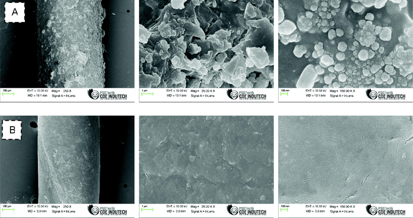 Scanning electron microscopy (SEM) analysis. A: coated suture; B: Uncoated suture. Images were captured under various magnifications.