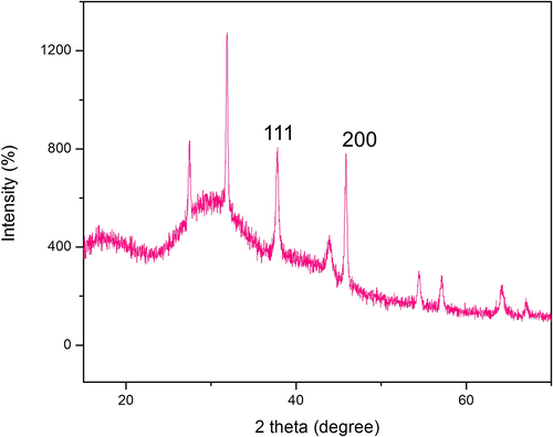 X-ray diffraction analysis of AgNPs from T.Cattappa plant leaf extract.