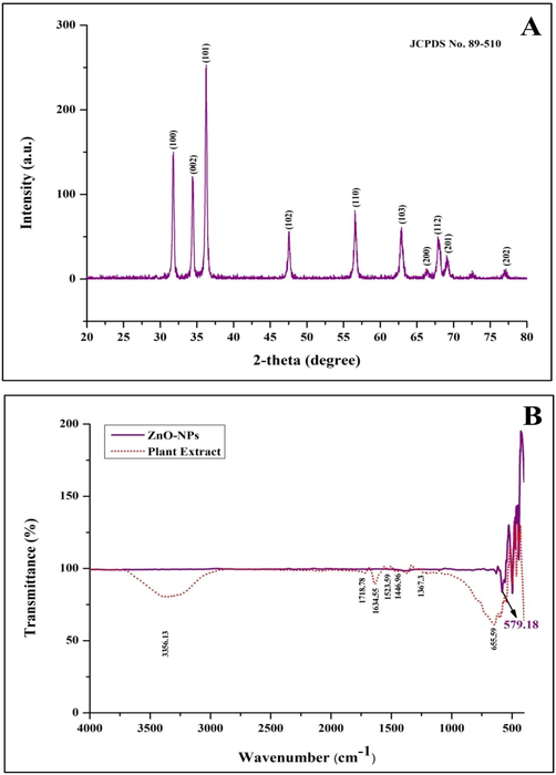 X-ray diffraction (A) and FTIR spectroscopic analysis of biosynthesized StZnO-NPs of S. trilobata.