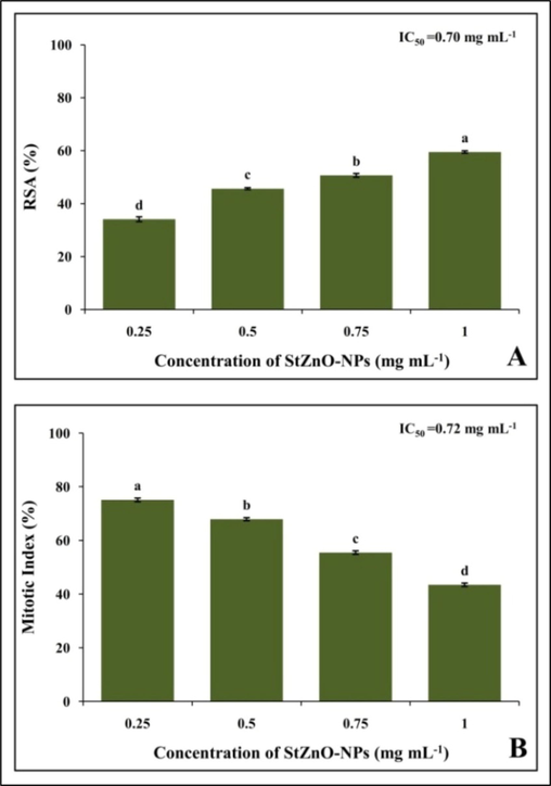 Representative images of genotoxicity of StZnO-NPs observed in onion root meristem cells.