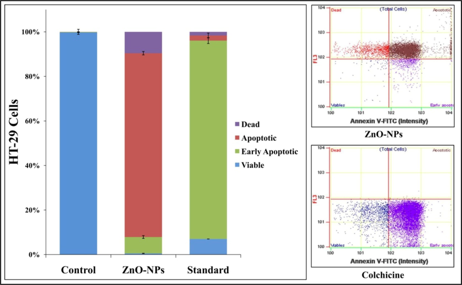 Apoptotic analysis of StZnO-NPs treated HT-29 cells analyzed on flow cytometry with Annexin-V staining. Each value is the mean of triplicates (n = 3) and vertical bars indicates standard error.