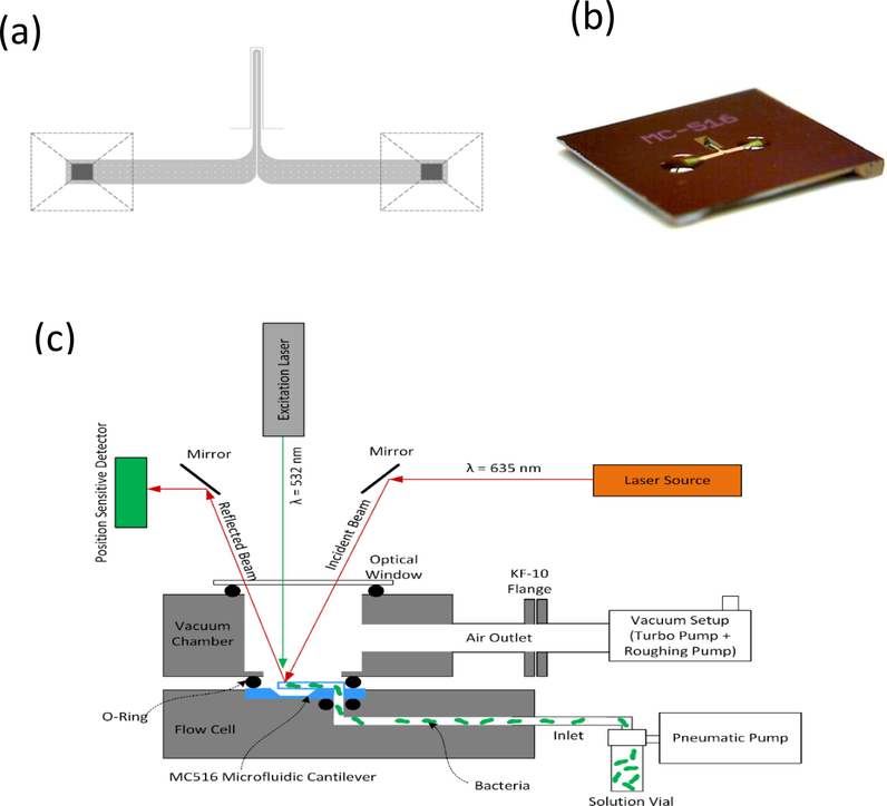 (a) Top-view schematic of the microfluidic cantilever. (b) Angled view of the silicon microchip hosting a microfluidic cantilever. (c) Schematic of the Picomeasure instrument showing the placement of the optics, vacuum chamber, and flow cell for loading the bacterial solution into the microfluidic cantilever MC516.