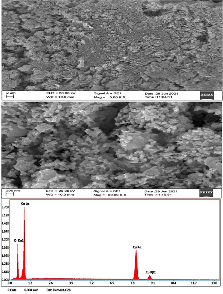 SEM-EDX study of CuO NPs (Green).