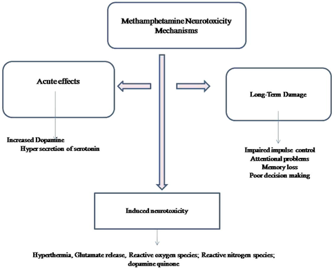 Methamphetamine mediated neurotoxicity in addicts.