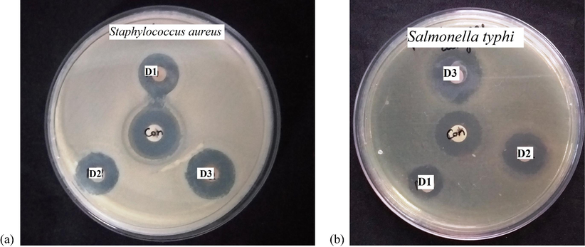 The zone of inhibition of D1, D2 and D3 against (a) Salmonella typhi and (b) Staphylococcus aureus.