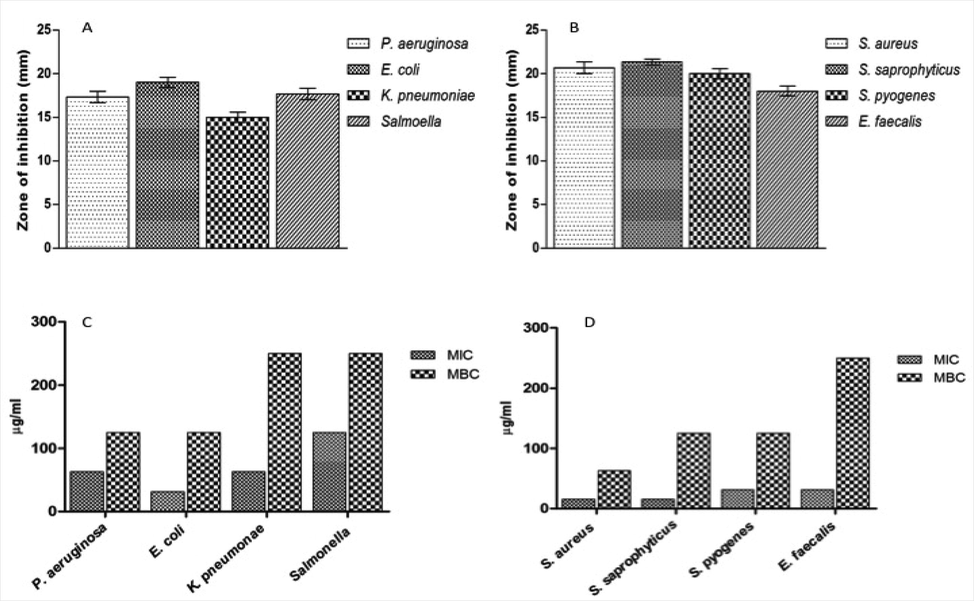 Effect of ZnO NP against Gram negative and Gram positive bacterial strains. MIC and MBC values of ZnO NP against Pseudomonas aeruginosa, Escherichia coli, Klebsiella pneumoniae, Salmonella, Staphylococcus aureus, Staphylococcus saprophyticus, Streptococcus pyogenes and Enterococcus faecalis.