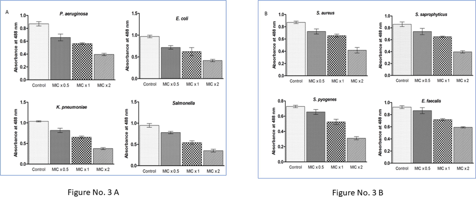 ZnO NP reduces the biofilm formation. (3A) Pseudomonas aeruginosa, Escherichia coli, Klebsiella pneumoniae, Salmonella (3B) Staphylococcus aureus, Staphylococcus saprophyticus, Streptococcus pyogenes, Enterococcus faecalis were treated with different concentrations (MIC × 0.5, MIC × 1 and MIC × 2) of ZnO NP under biofilm developing circumstances for 24 hrs. Results are displayed from the three independent tests using means ± SD.