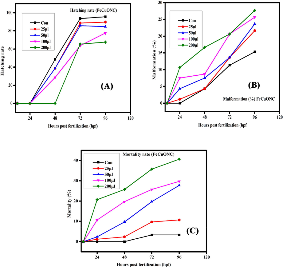 Hatching rate, malformation, and mortality rate in zebrafish embryos exposed to FeCuONC for different hours of post-fertilization (hpf).