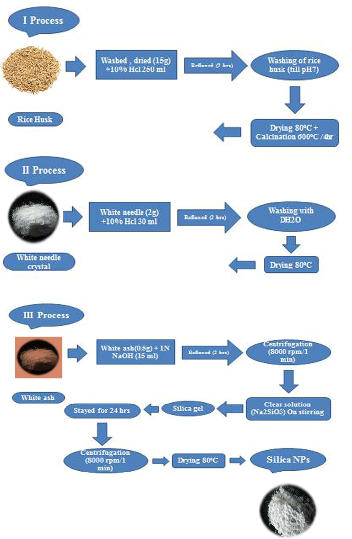 Preparation of SiO2 NPs (SNPs) from rice husk.