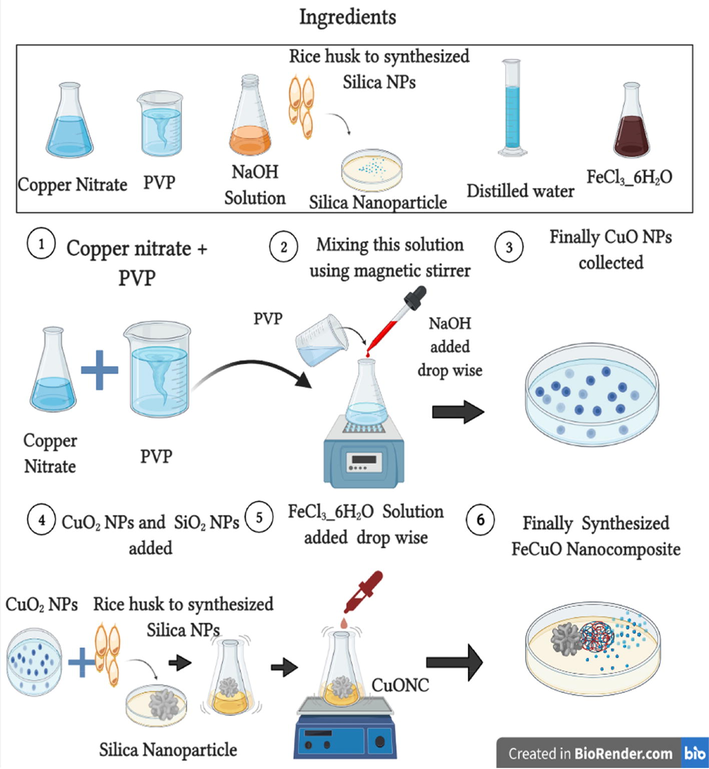 Schematic of CuO NPs, CuONC, and FeCuONC synthesis.