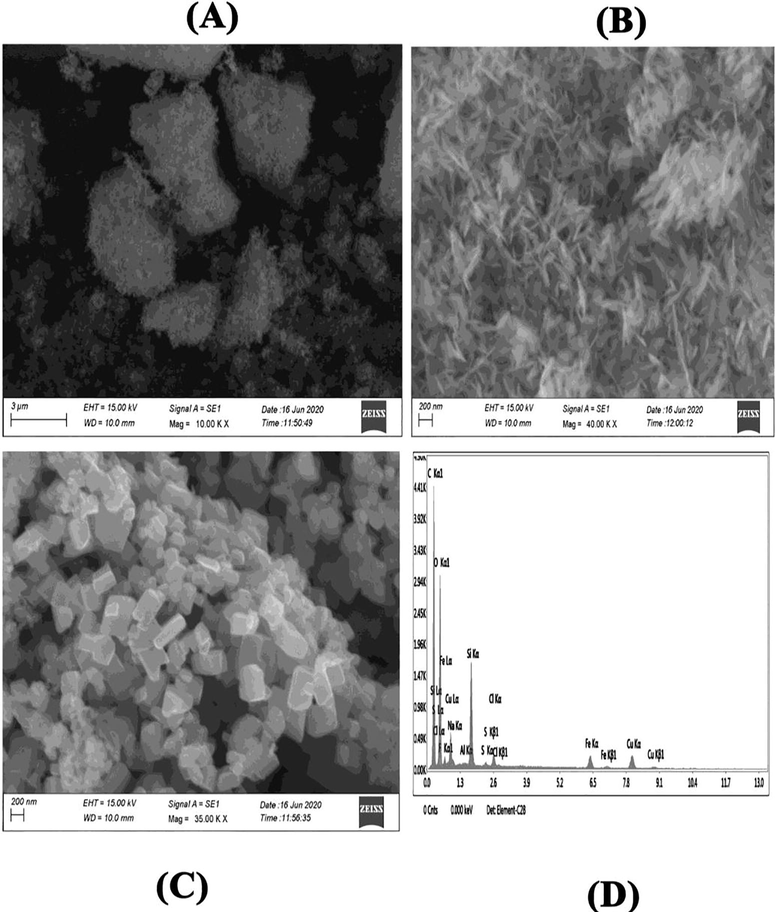 SEM-EDX characterization. SEM image of SNPs (A), CuONC (B), FeCuONC (C), and SEM-EDX spectra of FeCuONC.