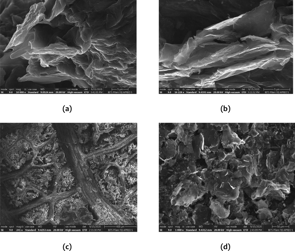 SEM images of (a) Graphite oxide, (b) Graphene oxide, (c) Graphene oxide cellulose composite on the leaf at the center, (d) Graphene oxide cellulose composite on the leaf at the edge.