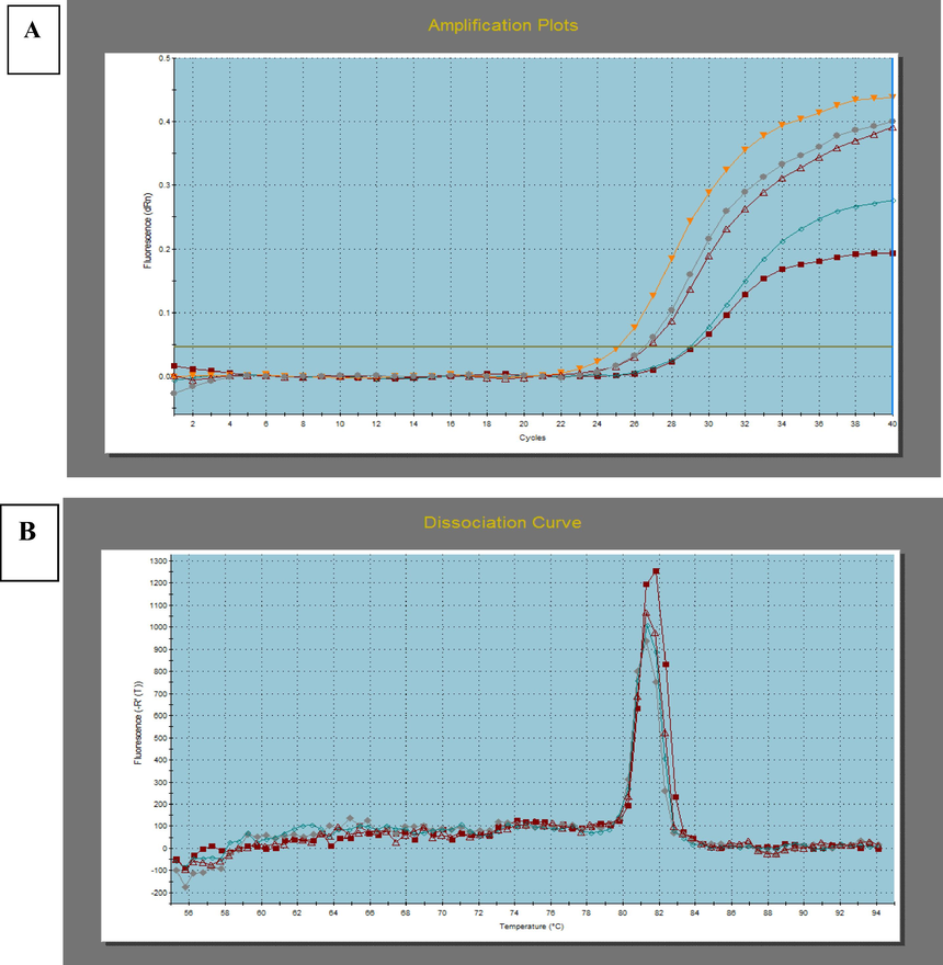 A) Amplification plot for PPARG on real-time PCR system. A higher CT value is indicative of lower mRNA levels. CT represents the threshold cycle at which fluorescence is first detected above background. B) Melting curves for pcr product of PPARG.