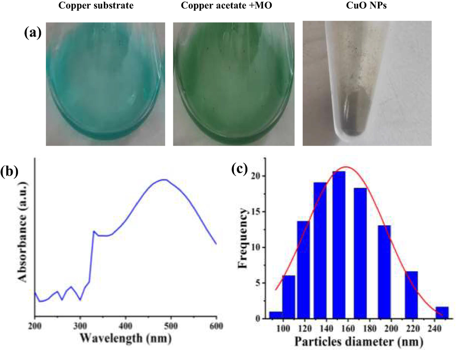 Biosynthesis method of CuO NPs using Moringa olifera leaves (a), UV–vis spectroscopy (b) and PSA frequency analysis (c) of CuO NPs using Moringa olifera leaves.