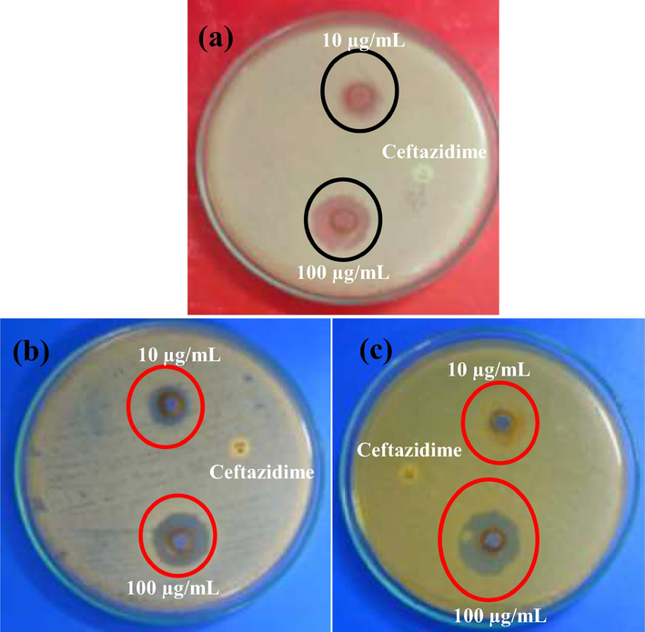 Anti-biofilm activity of CuO NPs against biofilm producing bacteria K. pneumoniae (a), S. aureus (b), and A. baumannii (c) using agar well diffusion method.