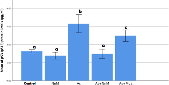 Mean (±SD) hepatic levels of p53 (pS15) protein (μg/ml) of rats exposed to arsenic (As) and treated with Indian mustard seeds (As + Mus) and nanoparticles of mustard seeds (As + NnM). A significant (p ≤ 0.05) difference is observed in values with different letters.