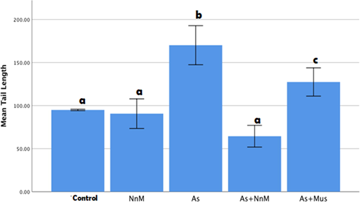 Mean (±SD) tail length measured to assess DNA damage in blood cells of rats exposed to arsenic (As) and treated with Indian mustard seeds (As + Mus) and nanoparticles of mustard seeds (As + NnM). A significant (p ≤ 0.05) difference is observed in values with different letters.