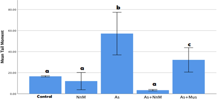 Mean (±SD) tail moment measured to assess DNA damage in blood cells of rats exposed to arsenic (As) and treated with Indian mustard seeds (As + Mus) and nanoparticles of mustard seeds (As + NnM). A significant (p ≤ 0.05) difference is observed in values with different letters.