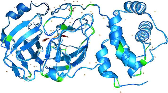 Three-dimensional structure of 6LU7 main protease (Mpro): [PDB accession ID: 002214U].