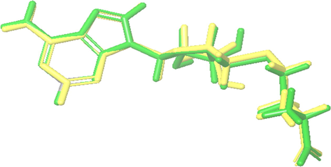 Superposition of co-crystalized (green) and redocked (yellow) ligands.