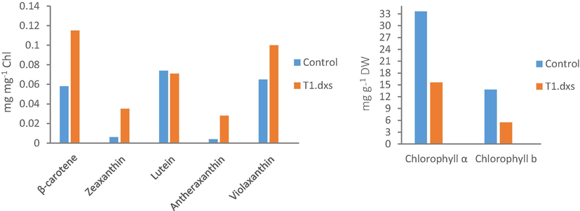 Terpenoid analysis of the C. reinhardtii lines. The effect of expressing an additional dxs gene on carotenoid level (left panel) and chlorophyll level (right panel). Carotenoid and chlorophyll levels were determined by HPLC analysis. Abbreviations are Chl: chlorophyll and DW: dry weight.