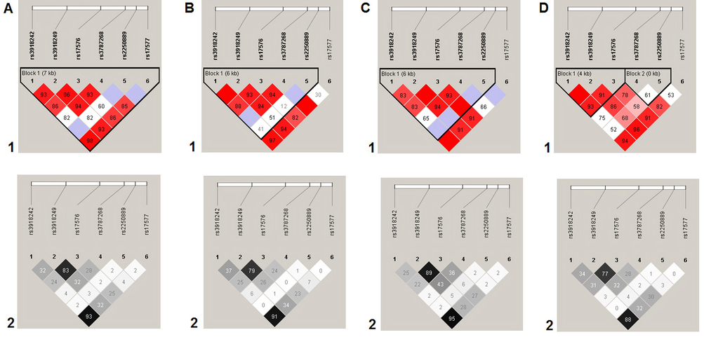 Linkage disequilibrium (LD) between SNPs rs3918242, rs3918249, rs17576, rs3787268, rs2250889, and rs17577 of the MMP9 gene in DU patients. A, summary; B, H. pylori-positive DU patients; C, H. pylori-negative DU patients; D, control group. LD values are given as Lewontin’s standardized coefficient D′ (Figure sections 1) and the square of the Pearson's correlation coefficient (r2) (Figure sections 2) between SNPs.