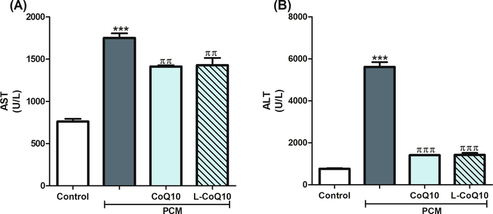 Effects of CoQ10 and L-CoQ10 on serum liver function enzymes in PCM-induced hepatotoxicity in rats. Notes: Data are presented as mean ± SEM (N = 6). ***P ≤ 0.001 vs control, ππP ≤ 0.01, πππP ≤ 0.001 vs PCM-intoxicated group.